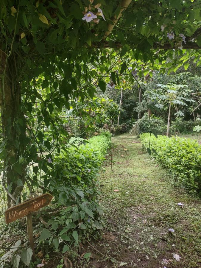 Finca Mystica Merida Ngoại thất bức ảnh