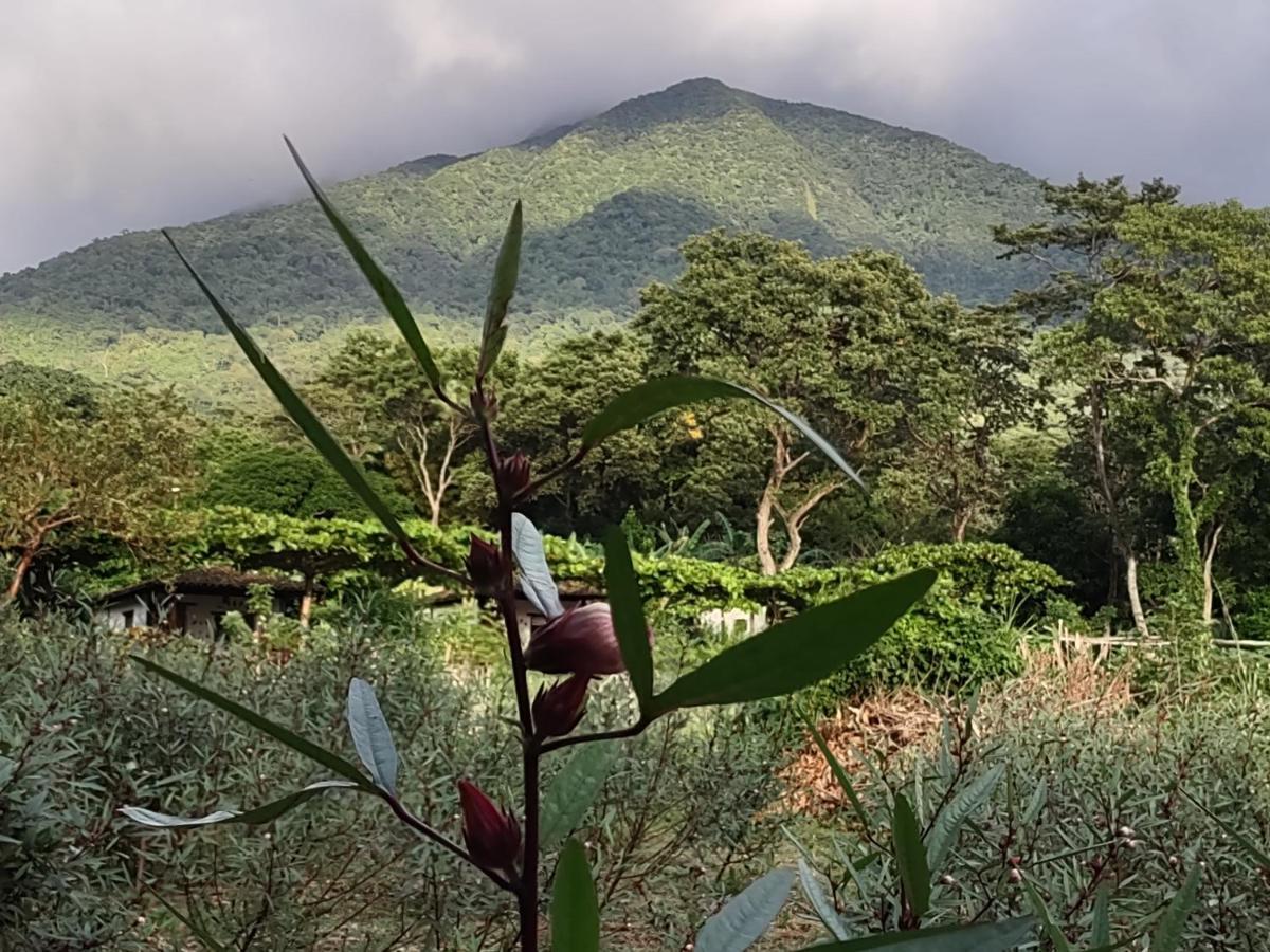 Finca Mystica Merida Ngoại thất bức ảnh
