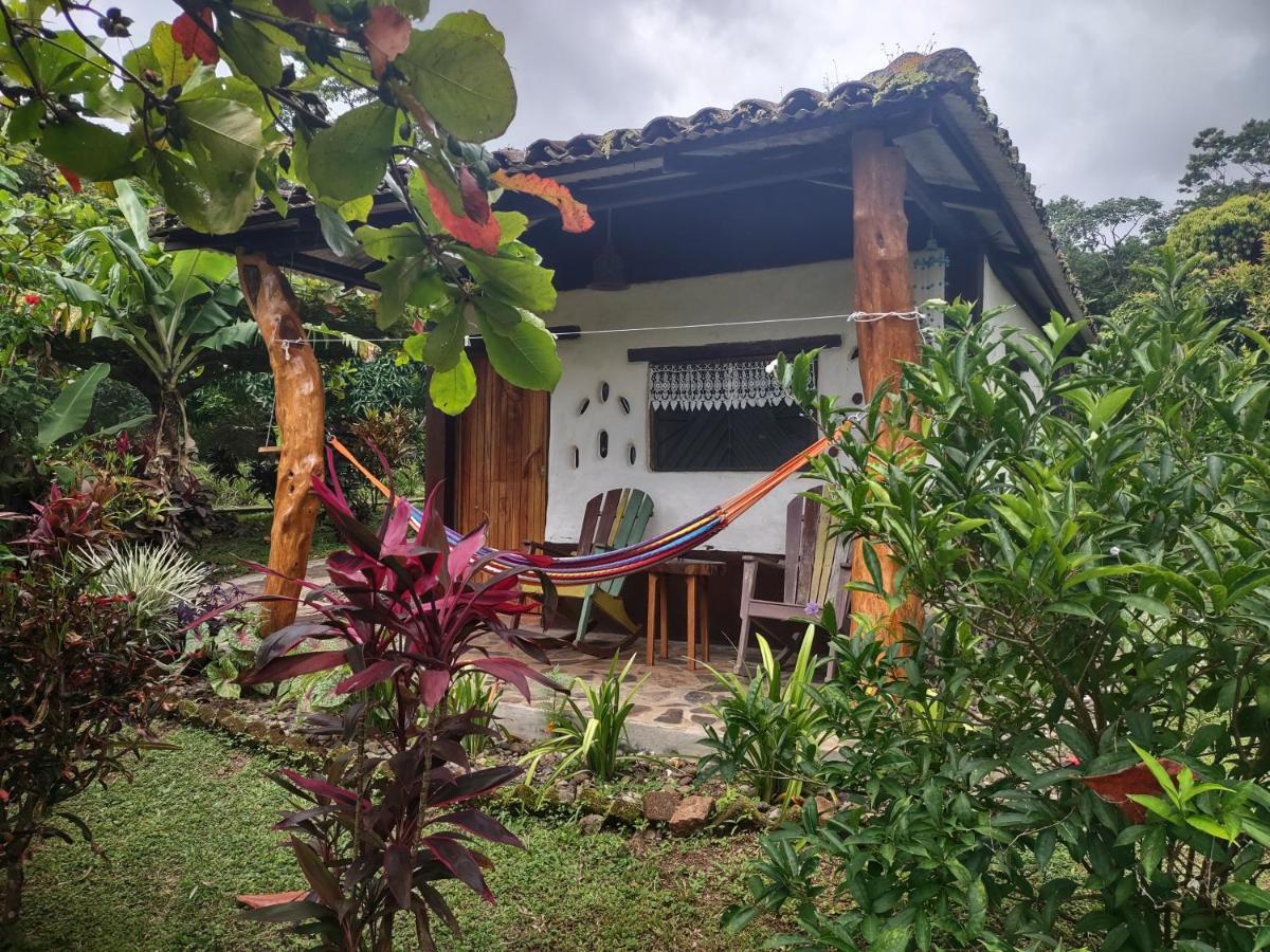 Finca Mystica Merida Ngoại thất bức ảnh
