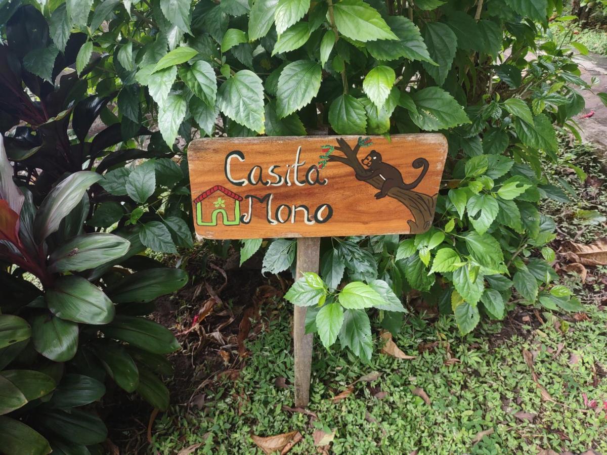 Finca Mystica Merida Ngoại thất bức ảnh