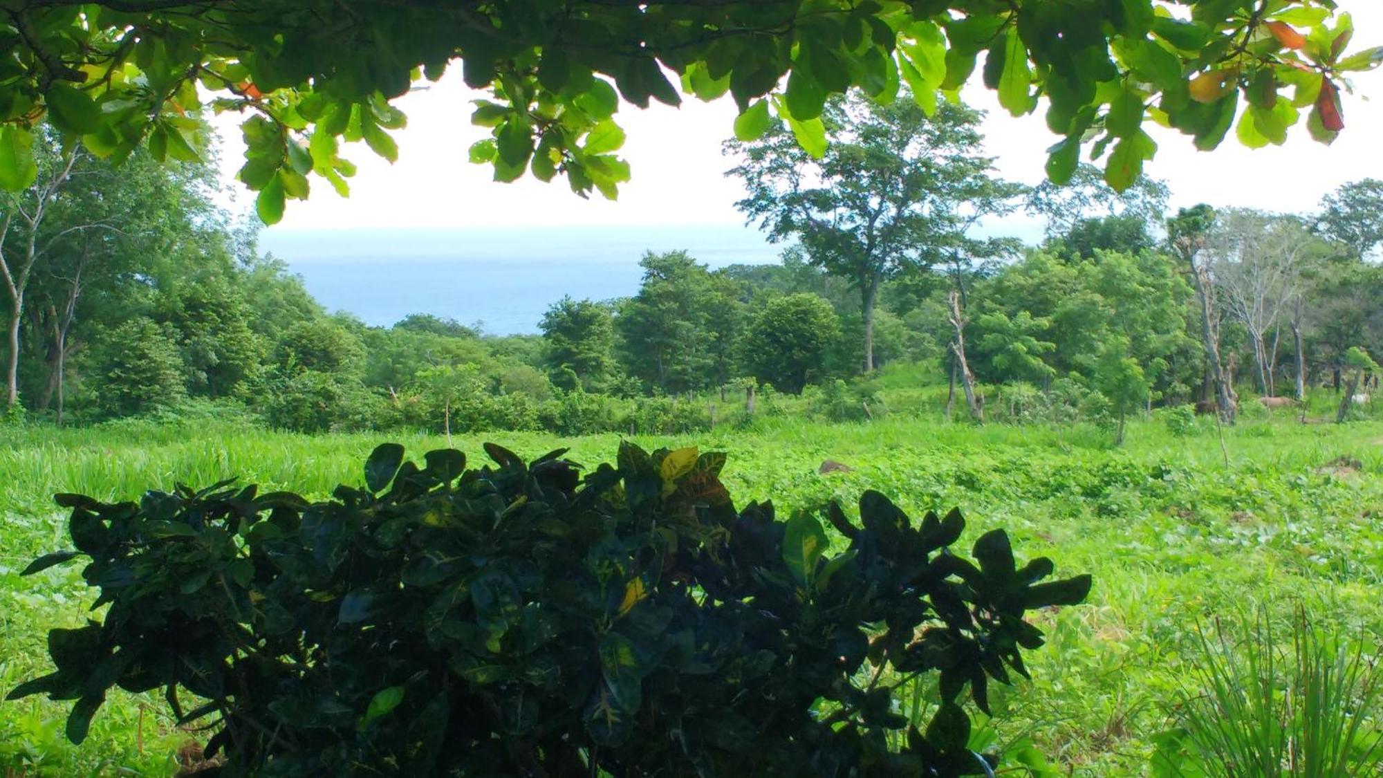 Finca Mystica Merida Phòng bức ảnh