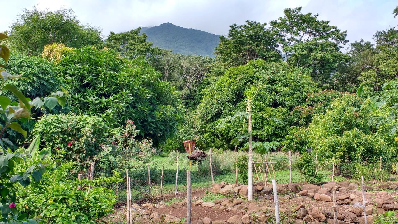 Finca Mystica Merida Ngoại thất bức ảnh