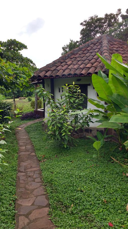 Finca Mystica Merida Ngoại thất bức ảnh