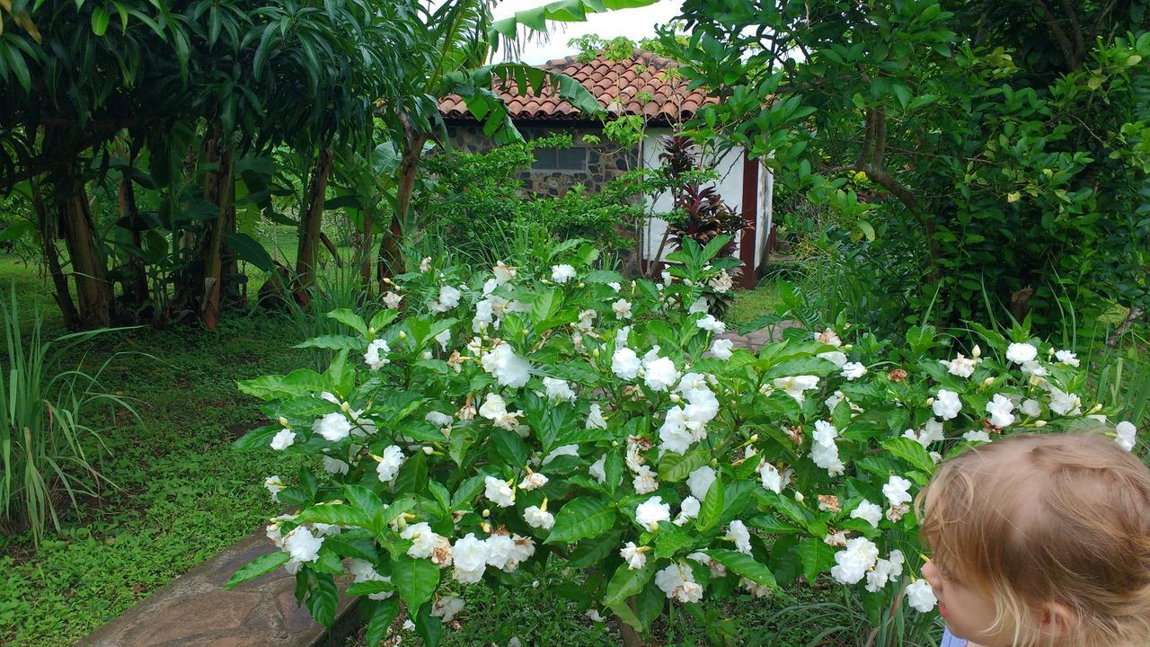Finca Mystica Merida Ngoại thất bức ảnh