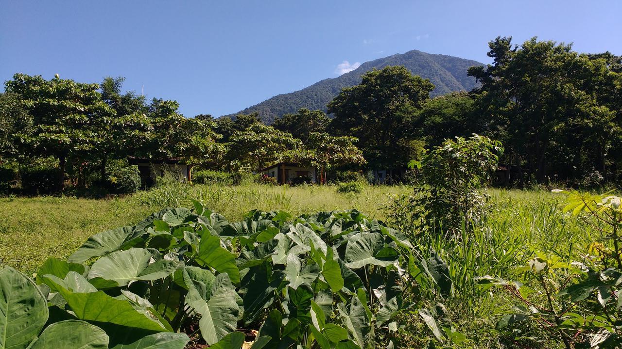 Finca Mystica Merida Ngoại thất bức ảnh